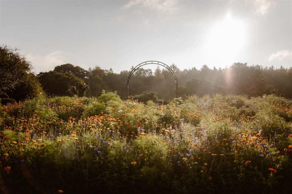 Sunny wildflower meadow with arch and trees.