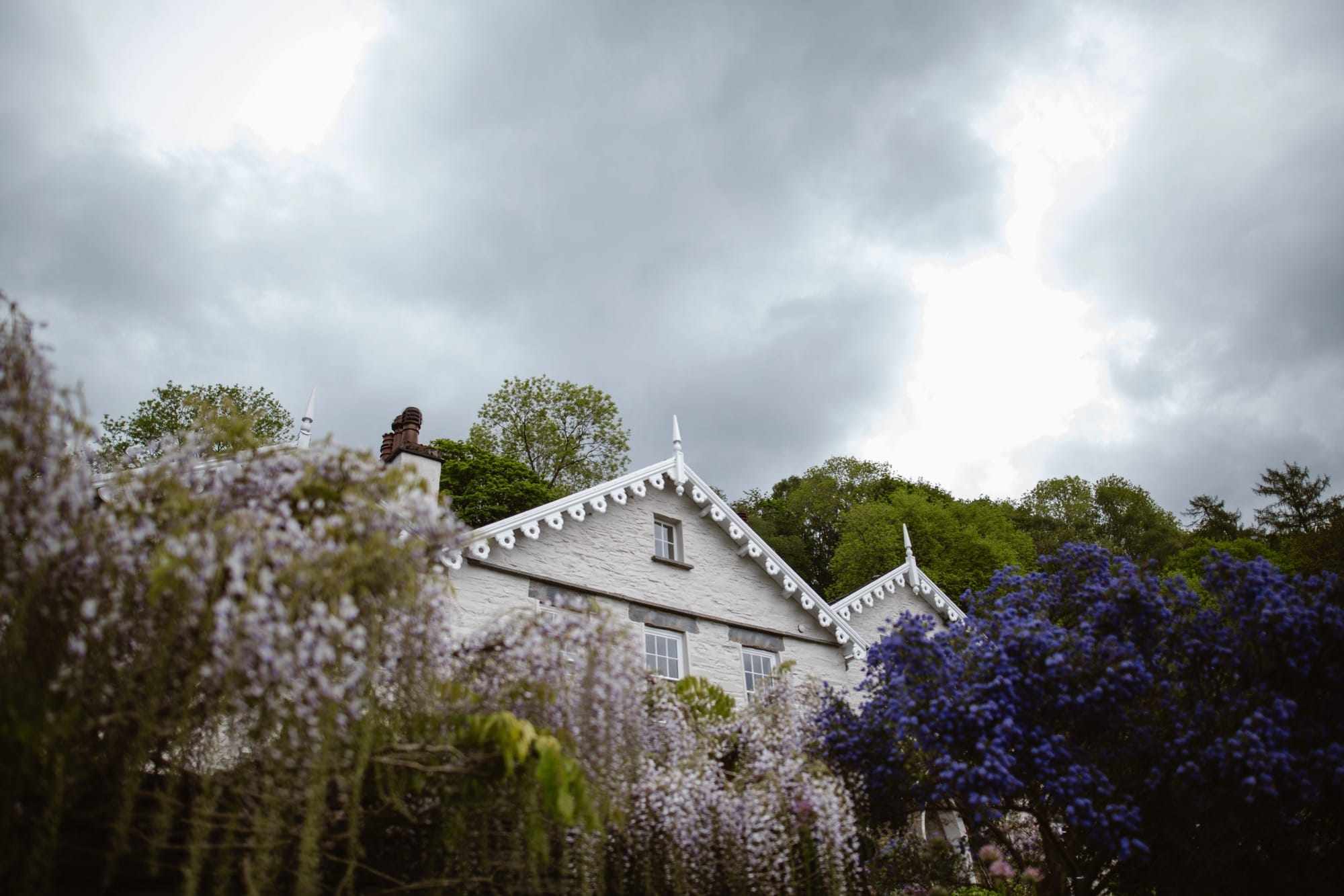 A white house with decorative trim, reminiscent of The Samling Hotel, is partially hidden by blooming purple and blue flowers, with green trees behind and a cloudy sky overhead.