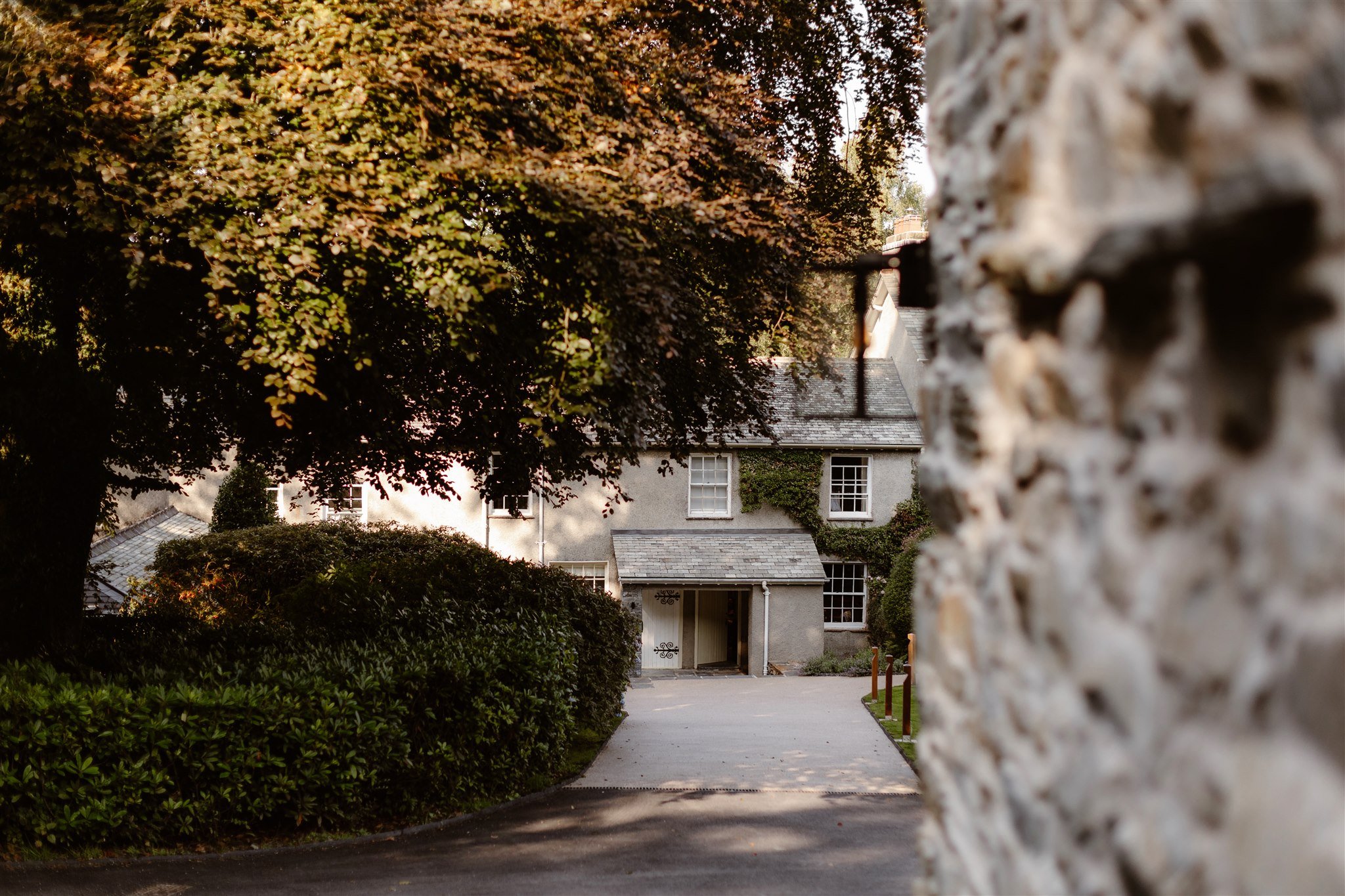 A stone path leads to a charming house with ivy-covered walls, large windows, and a veranda—perfect for a Town Head Estate Wedding—surrounded by lush green bushes and trees, with sunlight filtering through the leaves.
